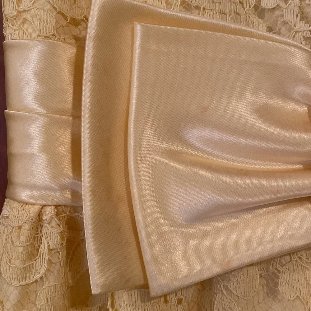 Vintage Formal Dress - Picture 17 of 17